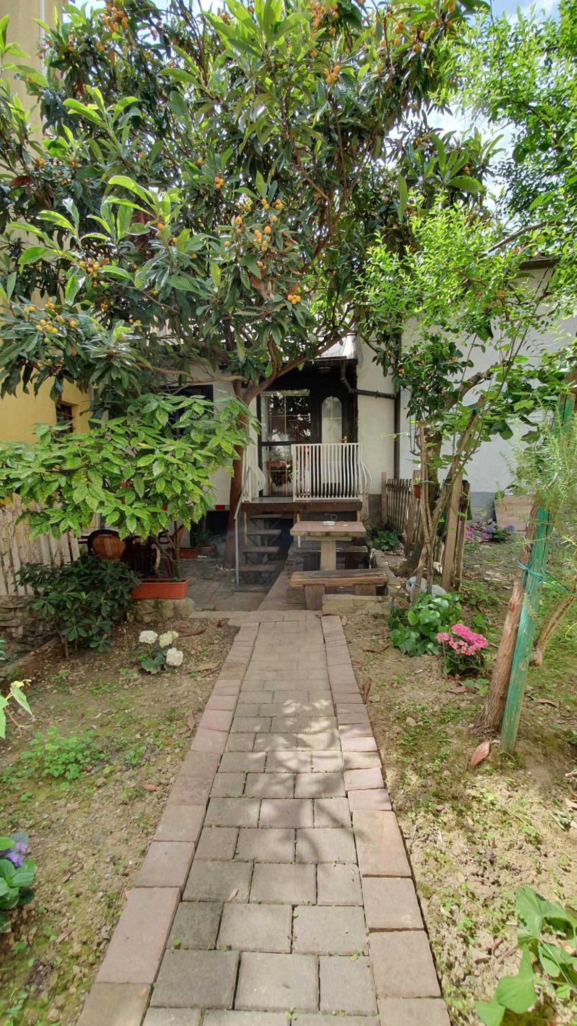 Apartmaji Mila Piran Apartment Bagian luar foto